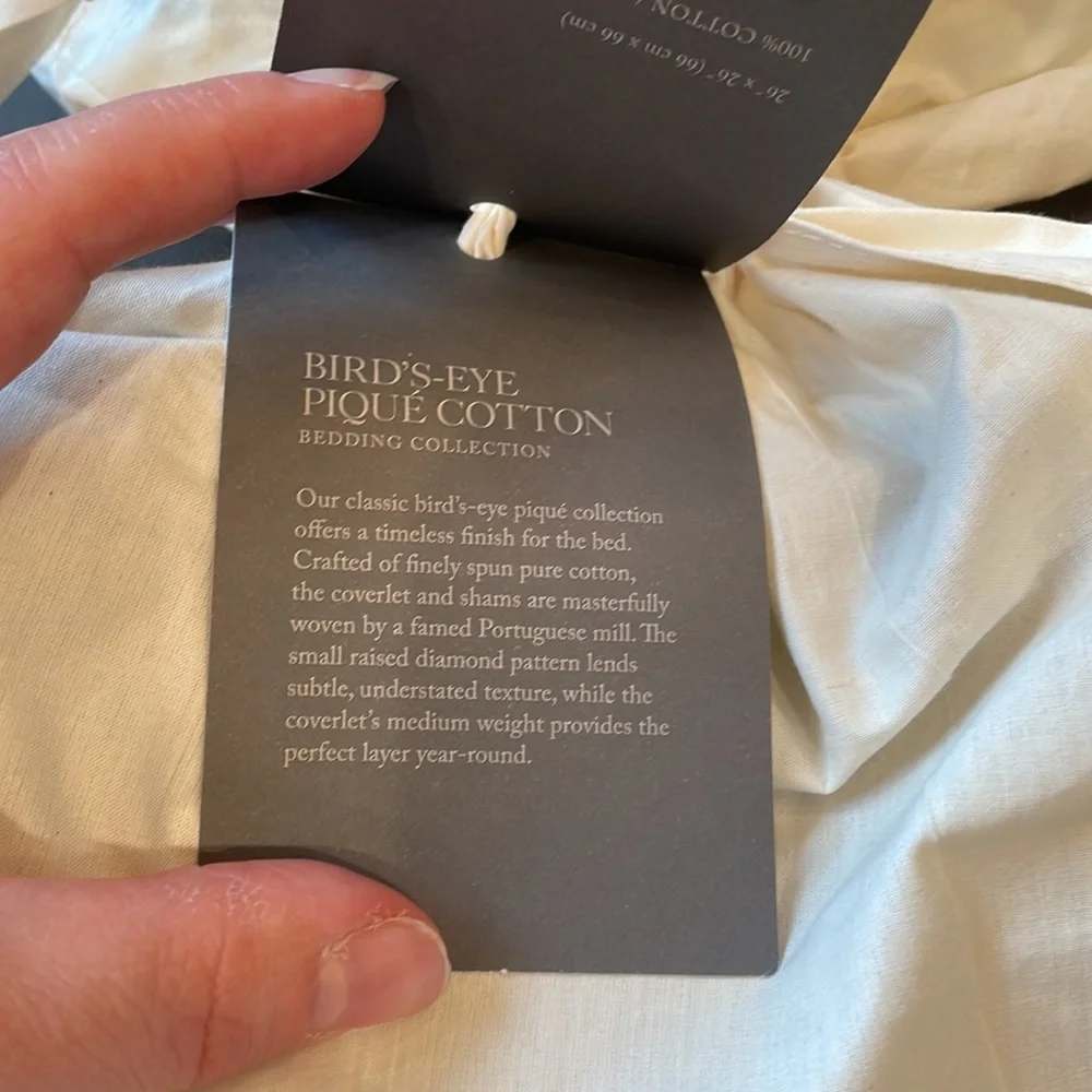 Restoration Hardware Bird’s-Eye Pique Euro Sham